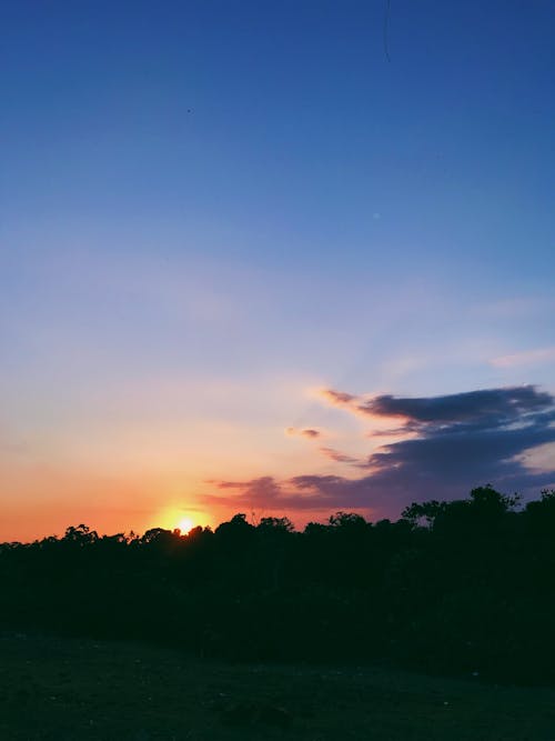 Immagine gratuita di alberi, cielo, cloud