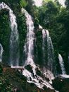 Waterfalls in the Middle of the Forest