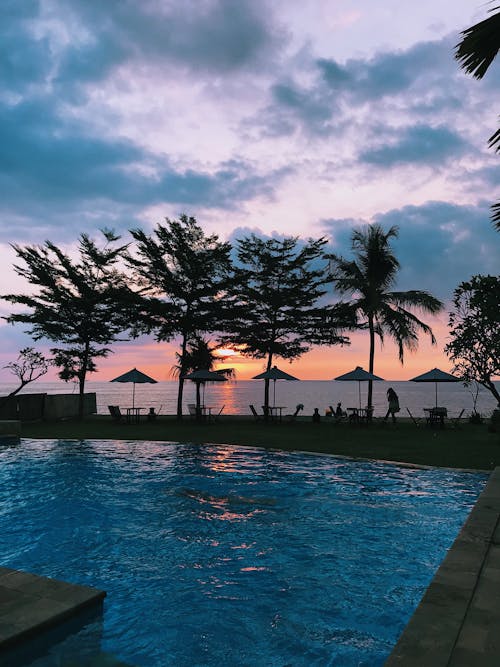 View of a Swimming Pool and Trees