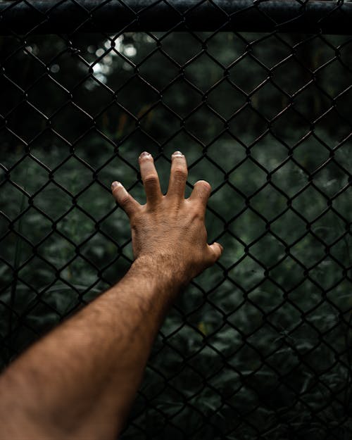 Human Hand Touching Grid Fence