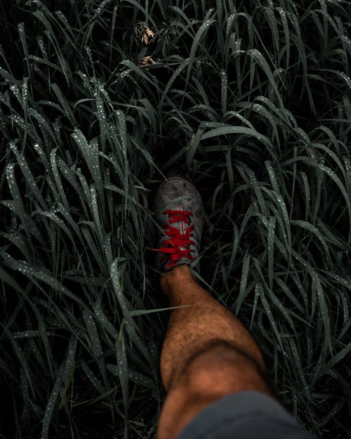 Close Up of Man Leg Between Grass