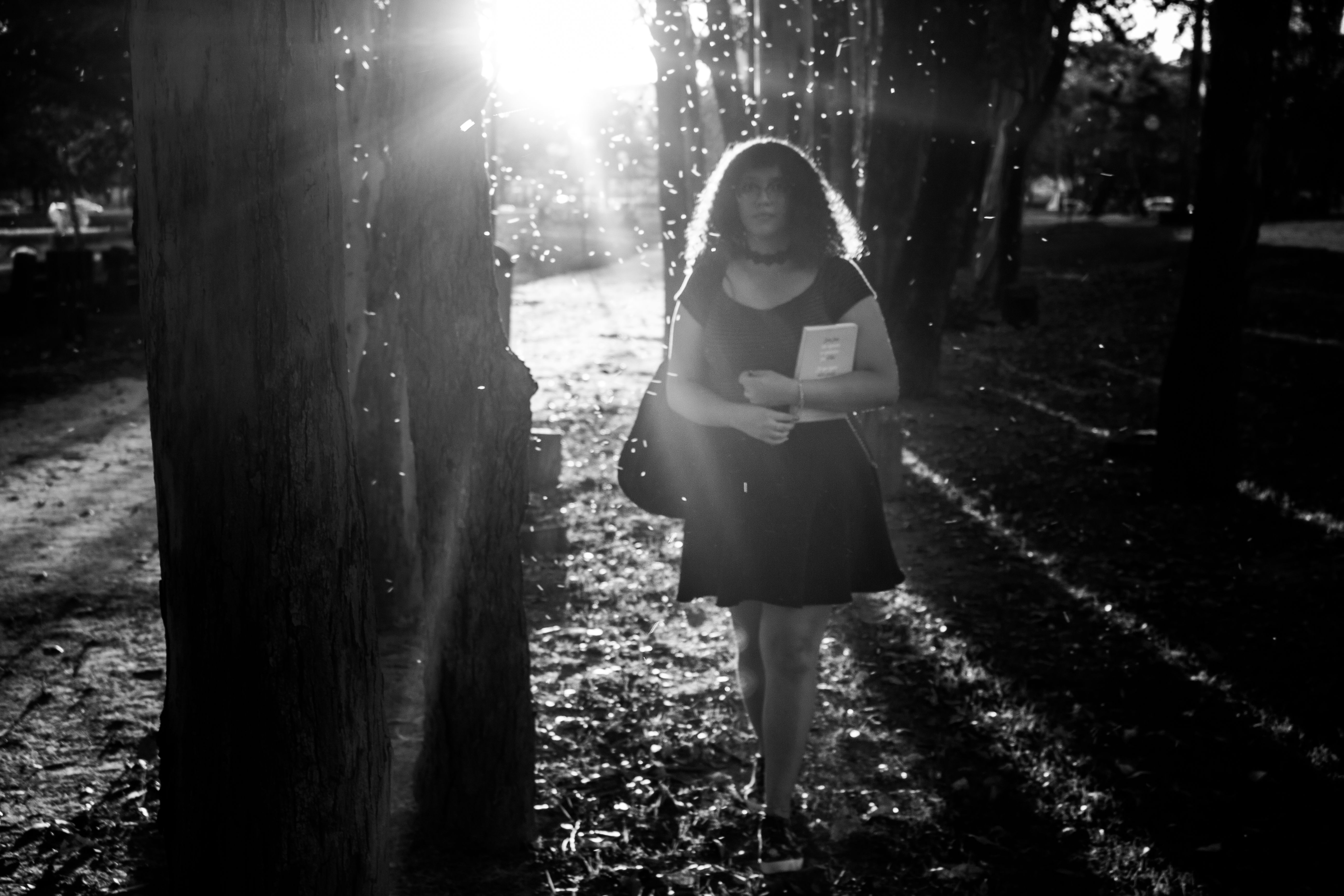 Woman in Black Dress Standing beside the Tree · Free Stock Photo