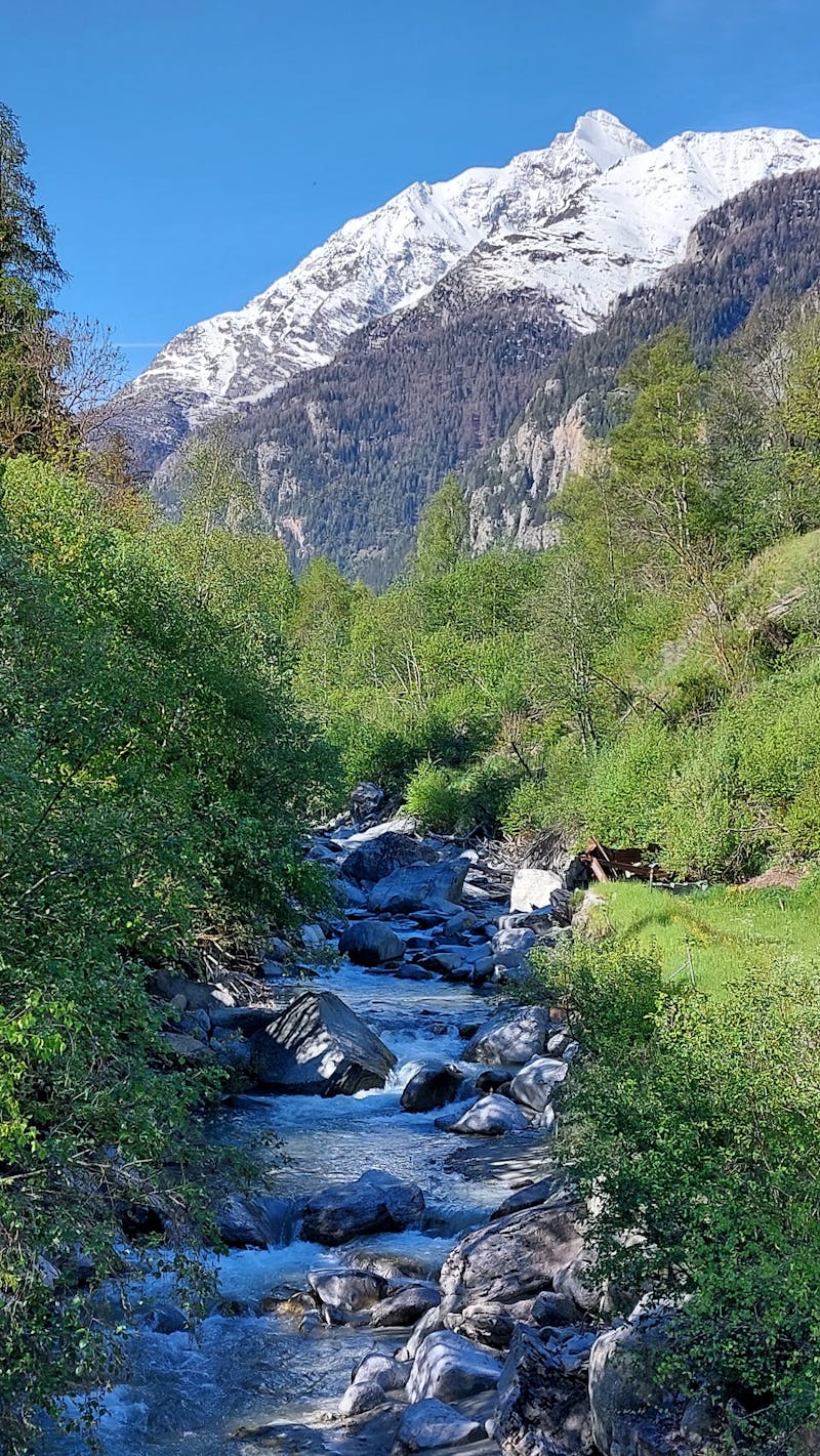 Digitale weegschaal voor postpakketten