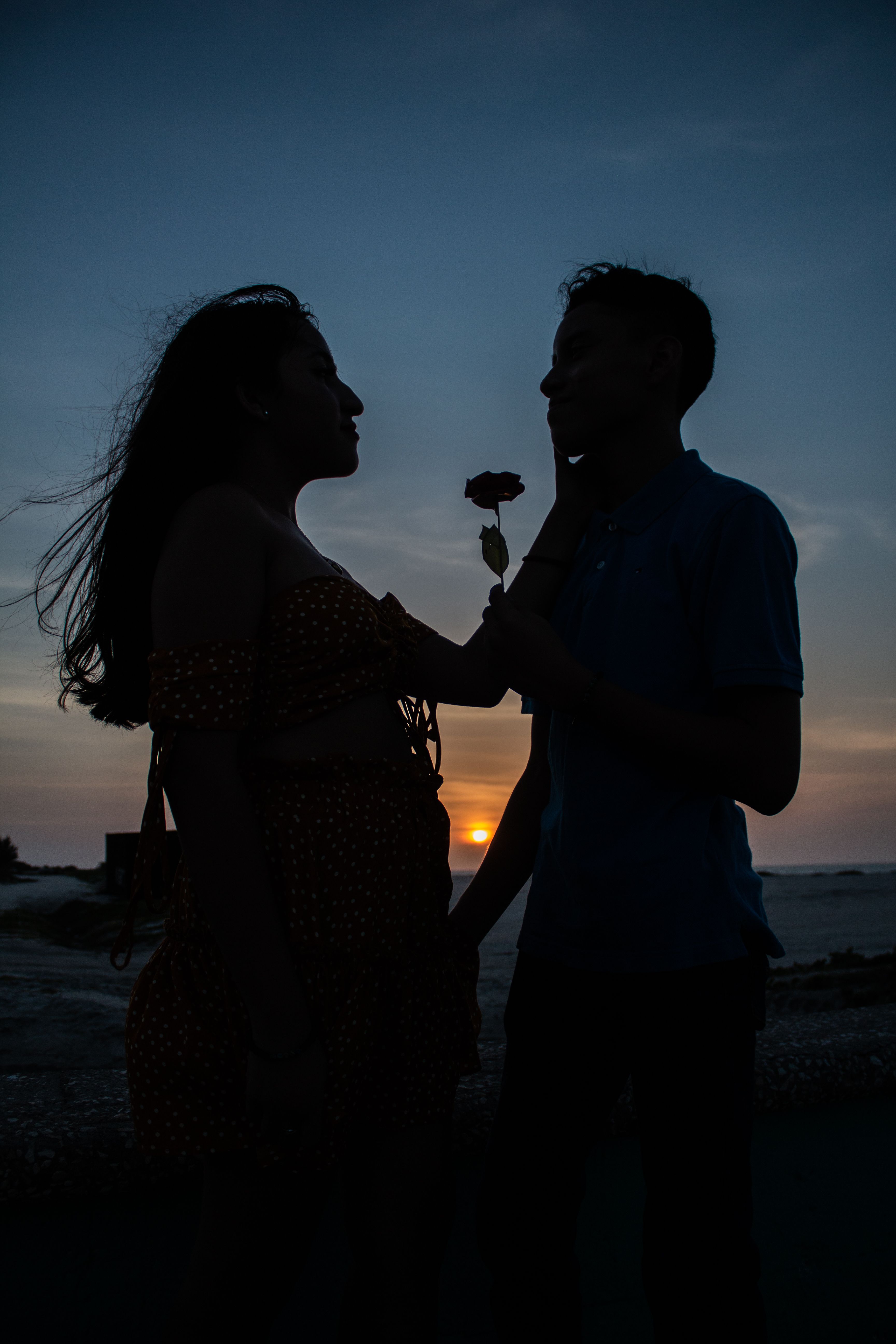 Silhouette of a Couple Facing Each Other · Free Stock Photo
