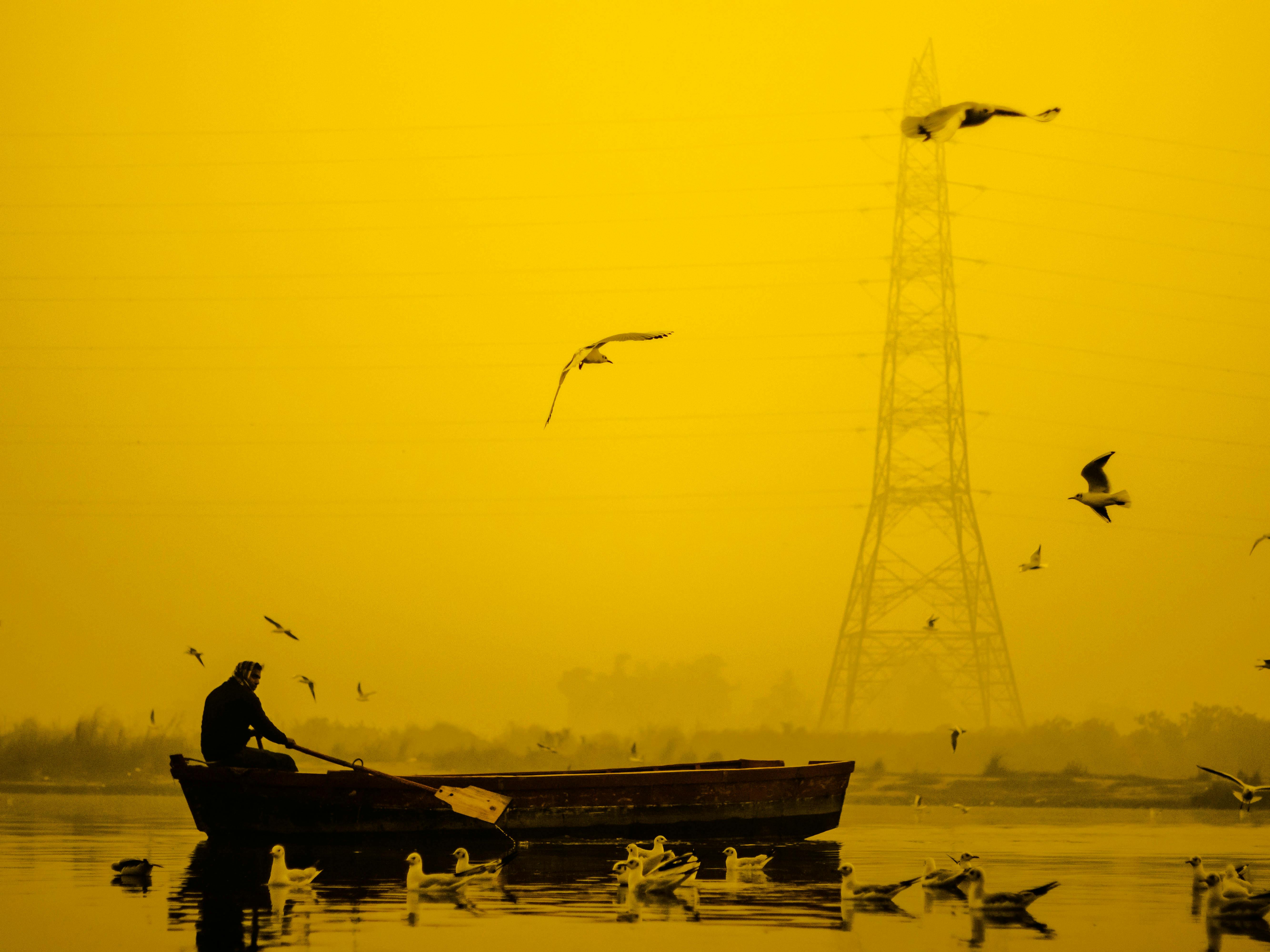 Man In A Boat Paddling Free Stock Photo   Pexels Photo 8111218 