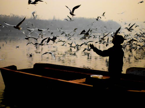 Darmowe zdjęcie z galerii z jezioro, latające ptaki, łódź