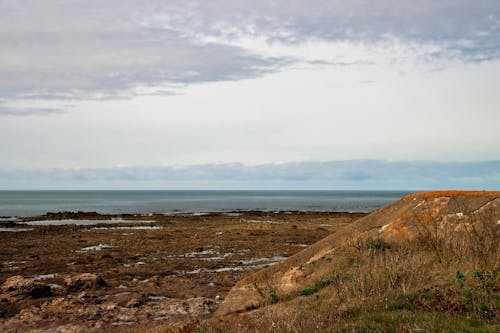 Ücretsiz çöl, deniz, deniz kıyısı içeren Ücretsiz stok fotoğraf Stok Fotoğraflar