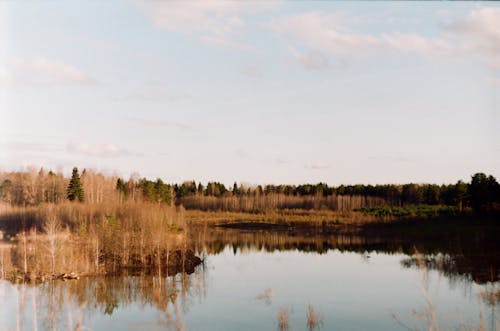 Základová fotografie zdarma na téma dřevo, jezero, krajina