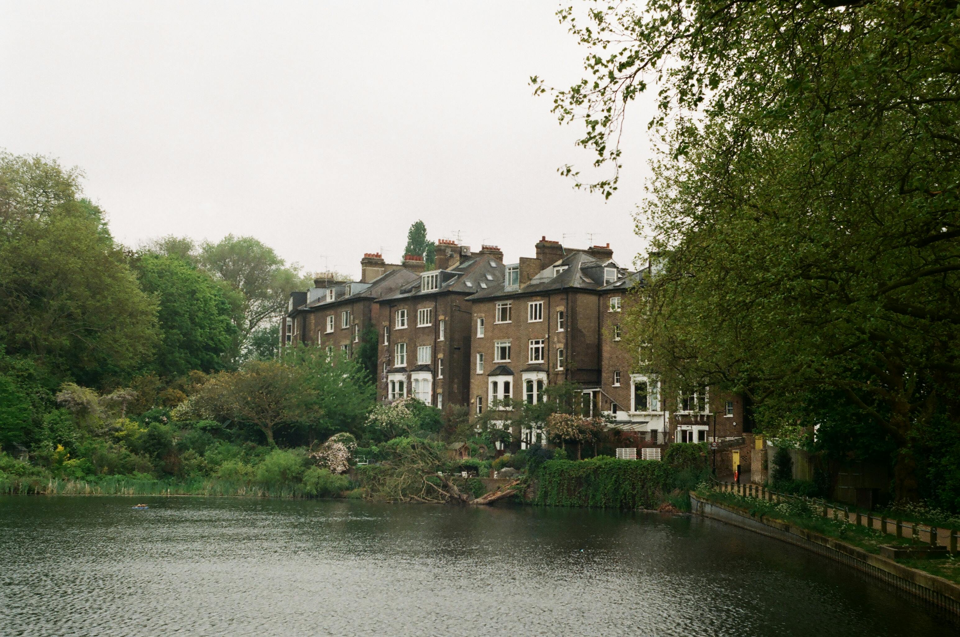 Building Your Own Backyard Pond