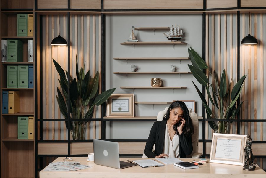 Professional legal consultation