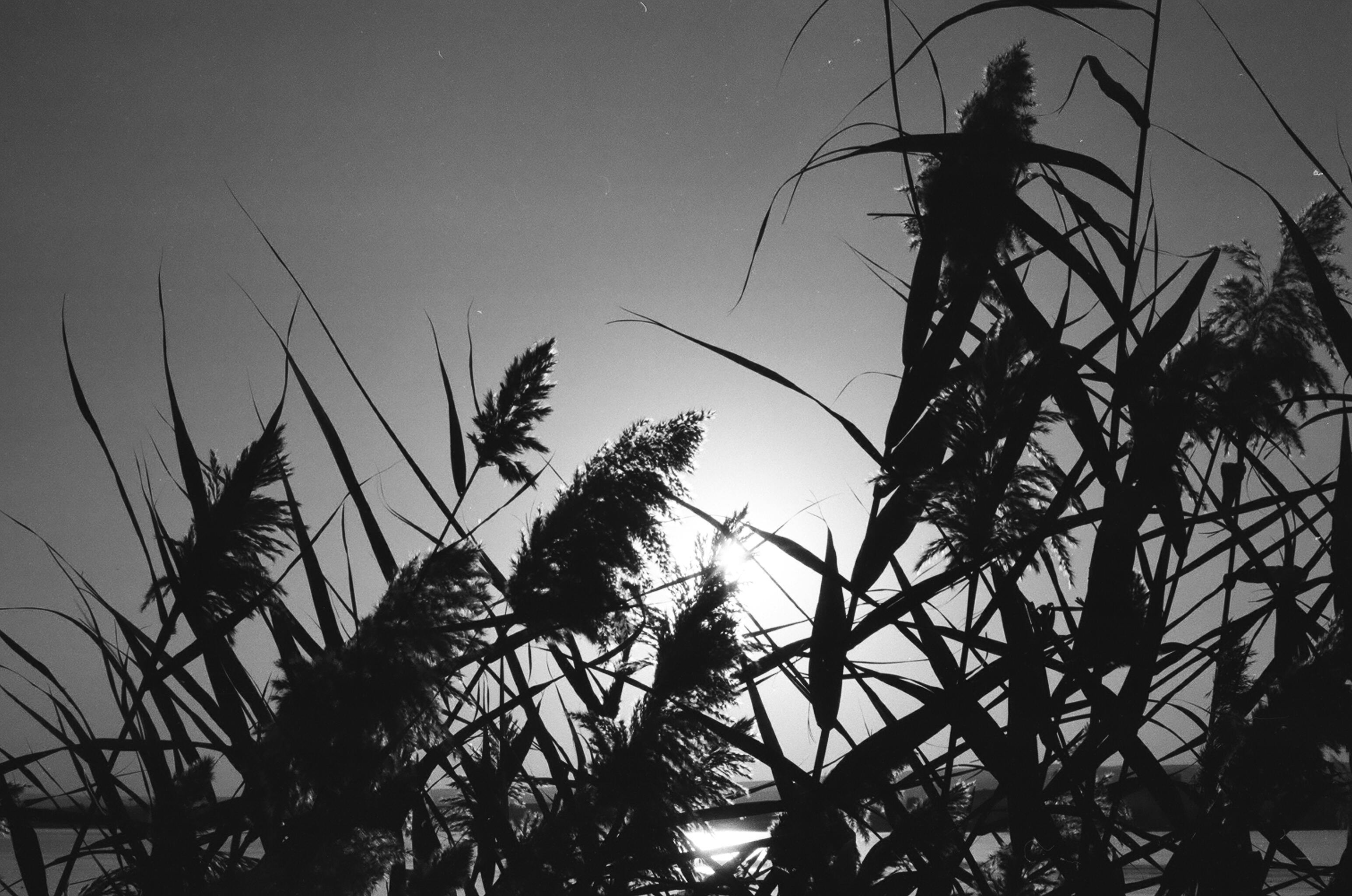 アライアンス事業