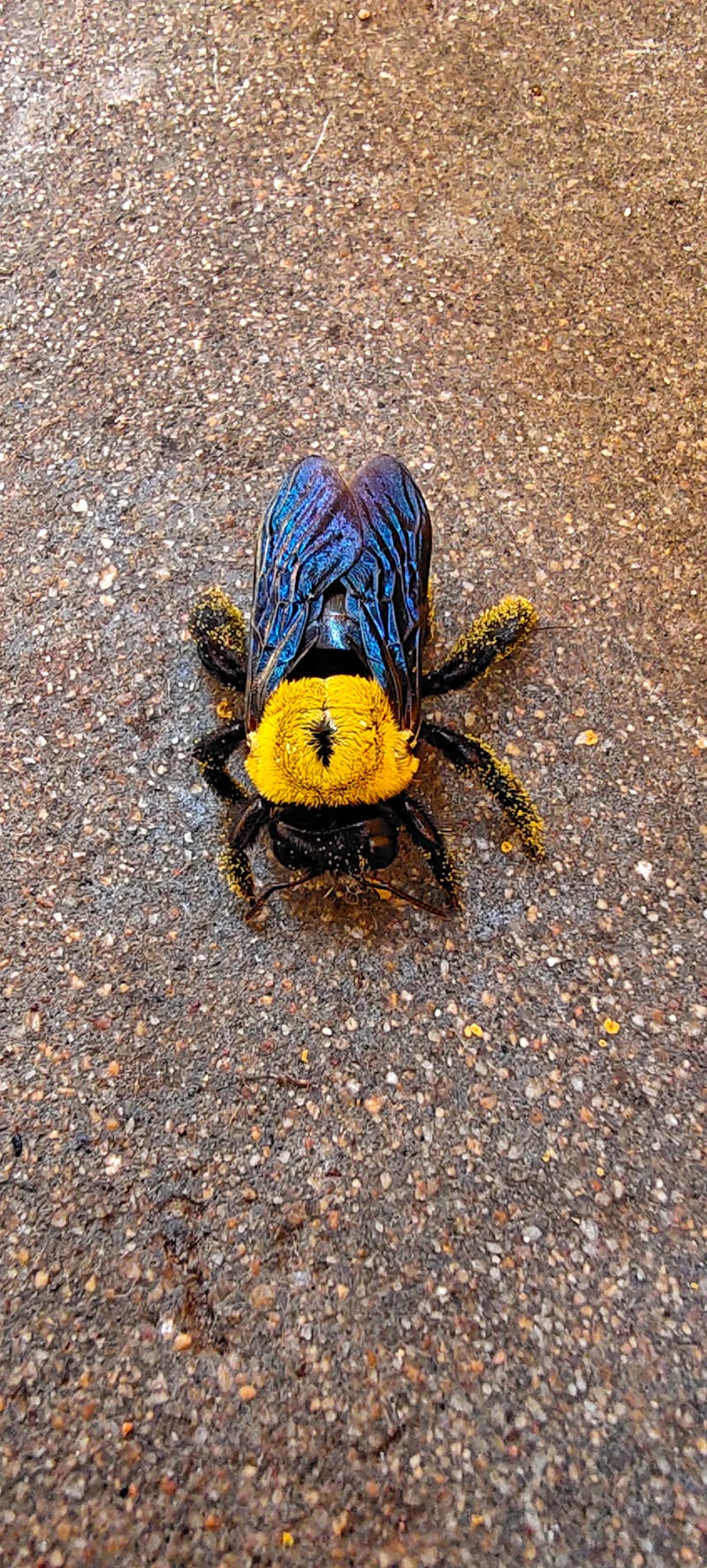 Immigration interview