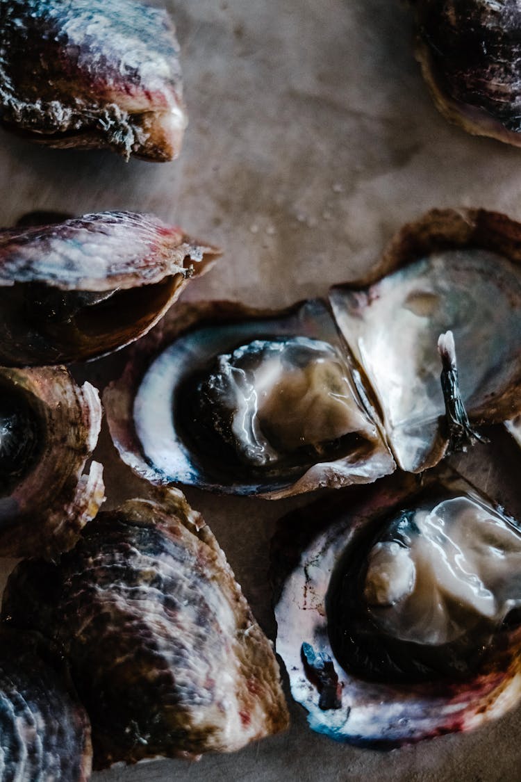 Close-up Photo Of Fresh Oysters