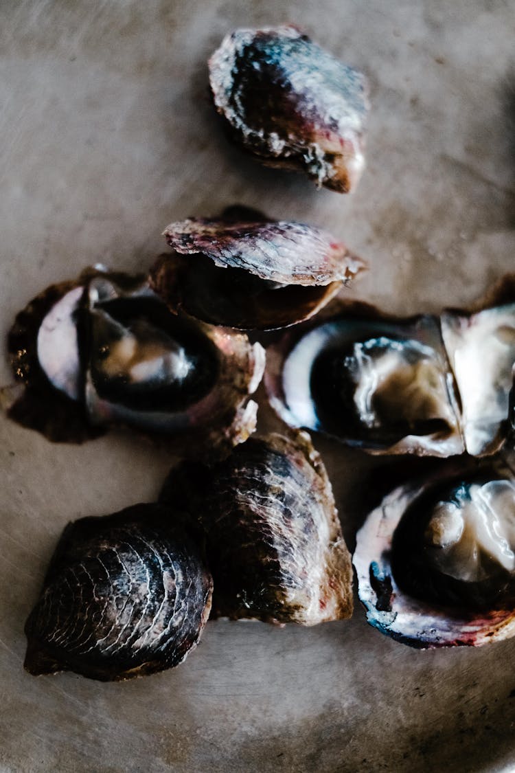 Close-up Photo Of Fresh Oysters