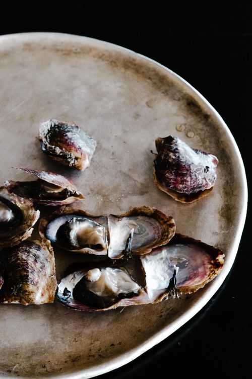 Free Fresh oysters displayed on a rustic plate, captured in an elegant overhead shot. Stock Photo
