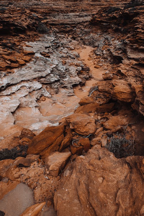 Immagine gratuita di ambiente, arenaria, arido