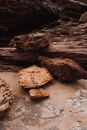 Brown Rock on White Sand