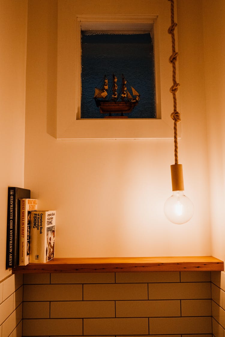 Books On Shelf Indoors With Lamp Lighting