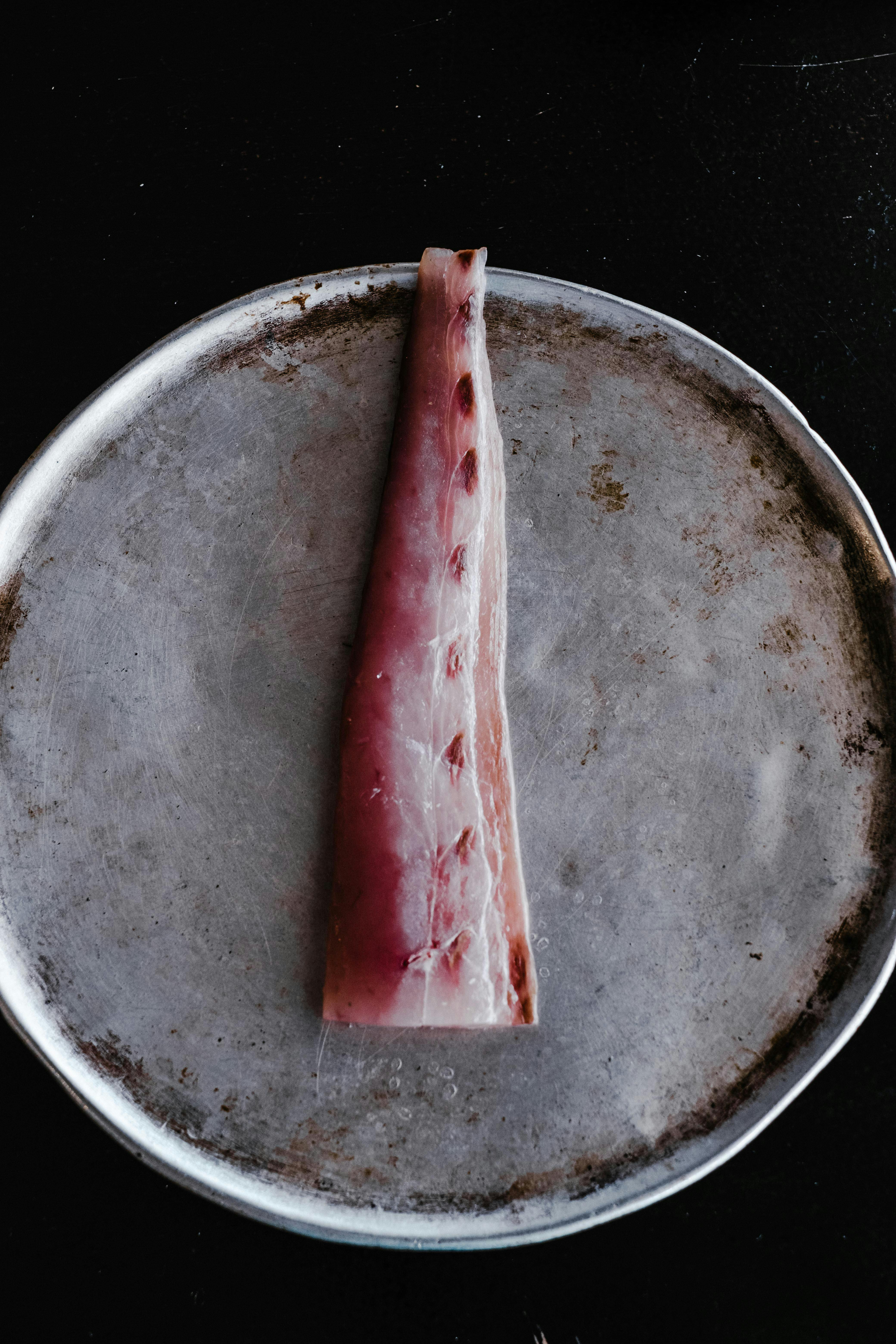 Top Fish Photos, Download The BEST Free Top Fish Stock Photos & HD Images