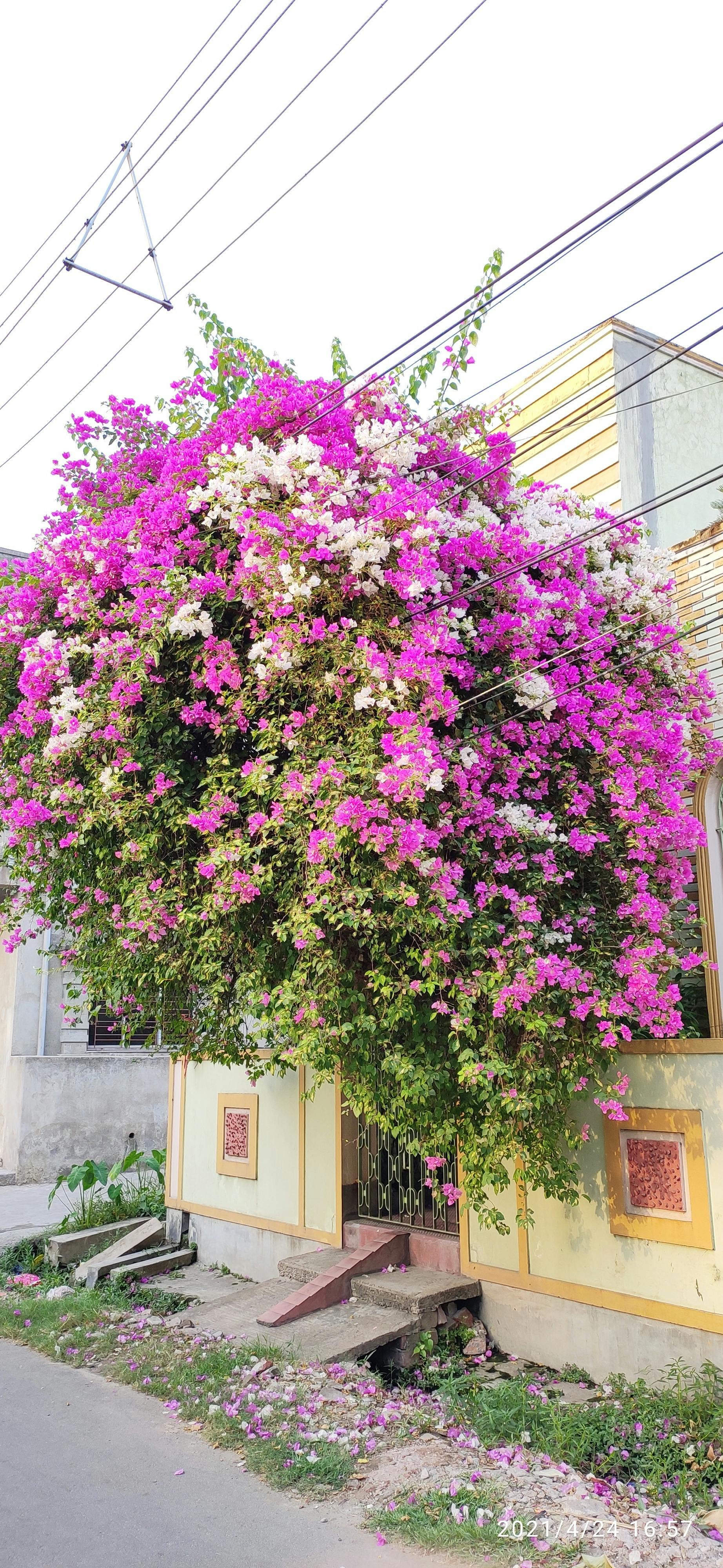 Medical volunteer checking a patient