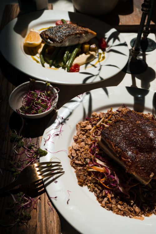 Free Close-up of gourmet fish dishes with fresh greens and grains, artfully plated on a wooden table. Stock Photo