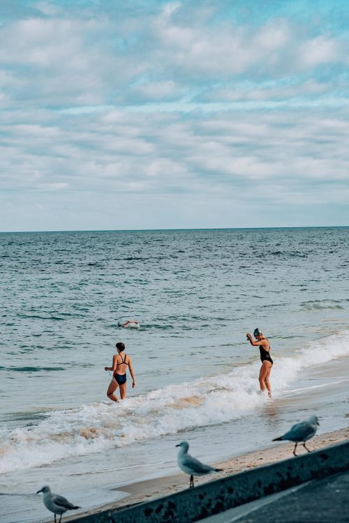 Free Two women in swimsuits enjoying a sunny day at the beach with seagulls nearby. Stock Photo