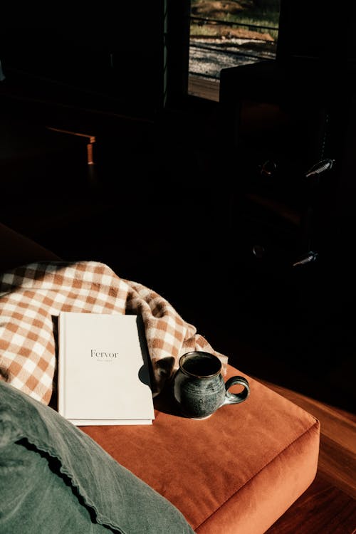 A Book and and Mug on a Couch 