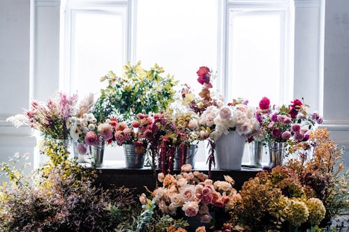 Beautiful Assorted Flowers