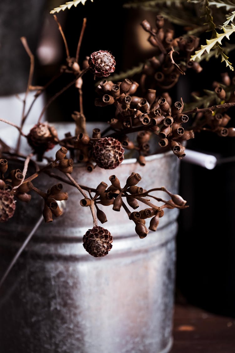 Dry Tree Branches Decoration