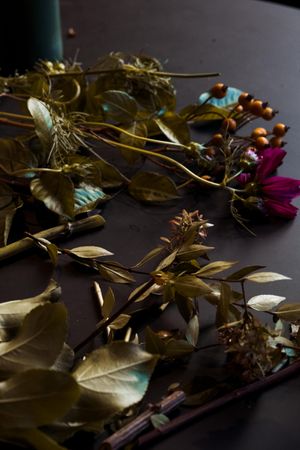 Moody still life of leaves and berries on a dark surface — photo by Rachel Claire on Pexels