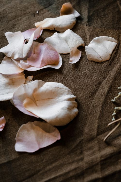 Free Soft pink rose petals delicately scattered on a rustic brown fabric surface. Stock Photo