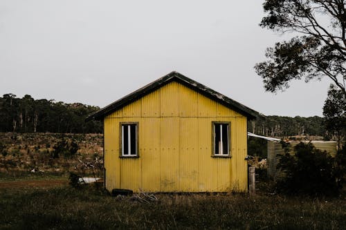 Wooden Cabin in Wild Forest Landscape