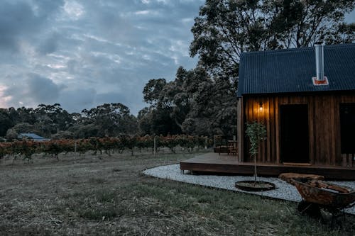 Wooden House in Wild Green Landscape on Sunset