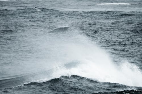 Ocean Waves Crashing on Shore