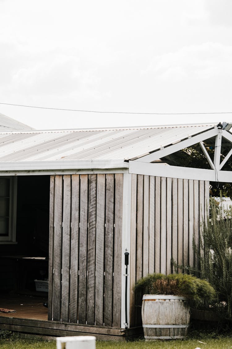 Keg With Plant Near Shed