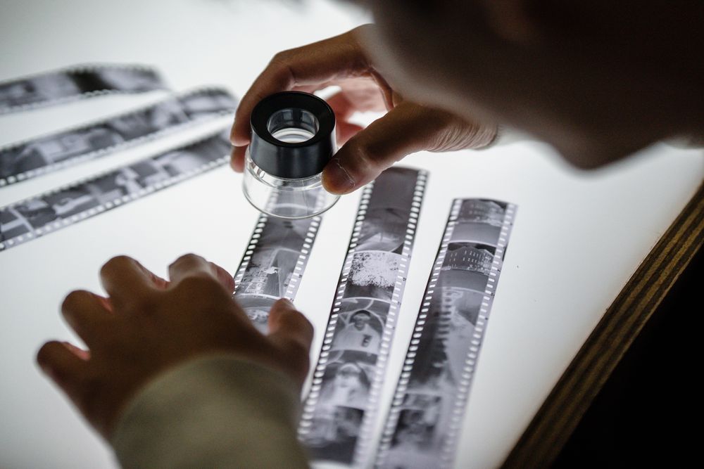 Strips of 35mm film negatives laid out on a light table — Annushka Ahuja on Pexels