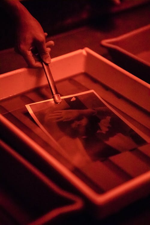 Close-up of Photo Developing in Studio · Free Stock Photo