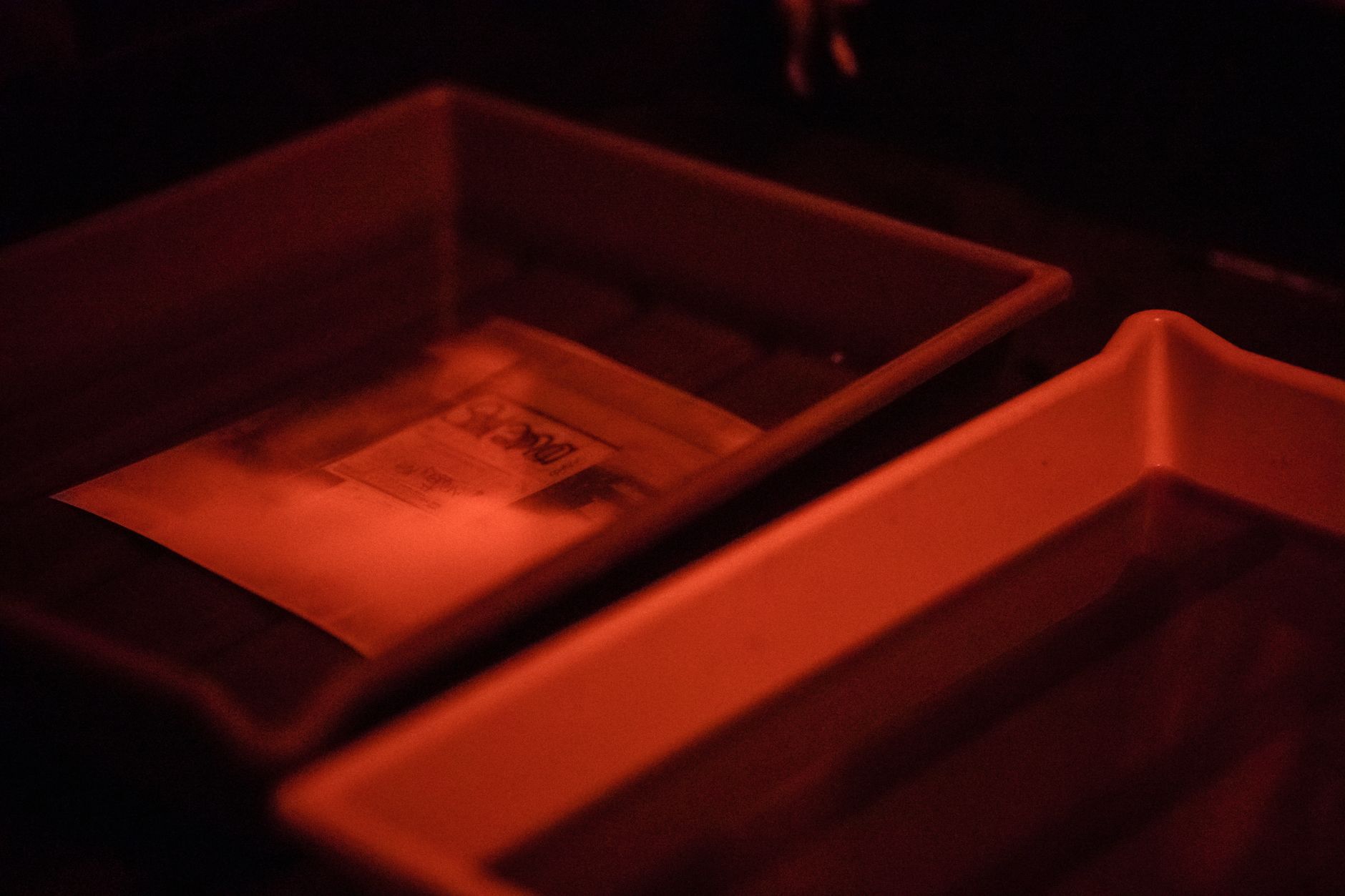 seed trays soaking in sterilizing solution