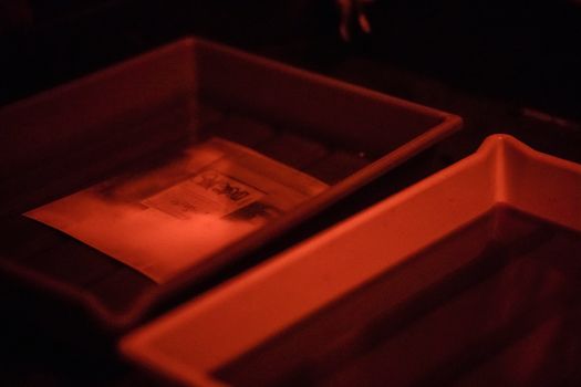 A close-up of photographic paper developing in a darkroom tray under red light.