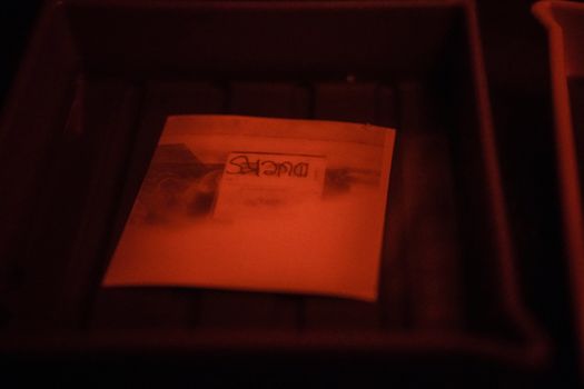 A photograph developing in a darkroom under red lighting, showcasing traditional photographic techniques.