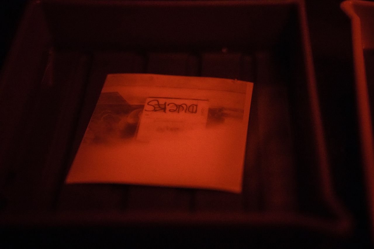 a photograph developing in a darkroom under red lighting showcasing tr