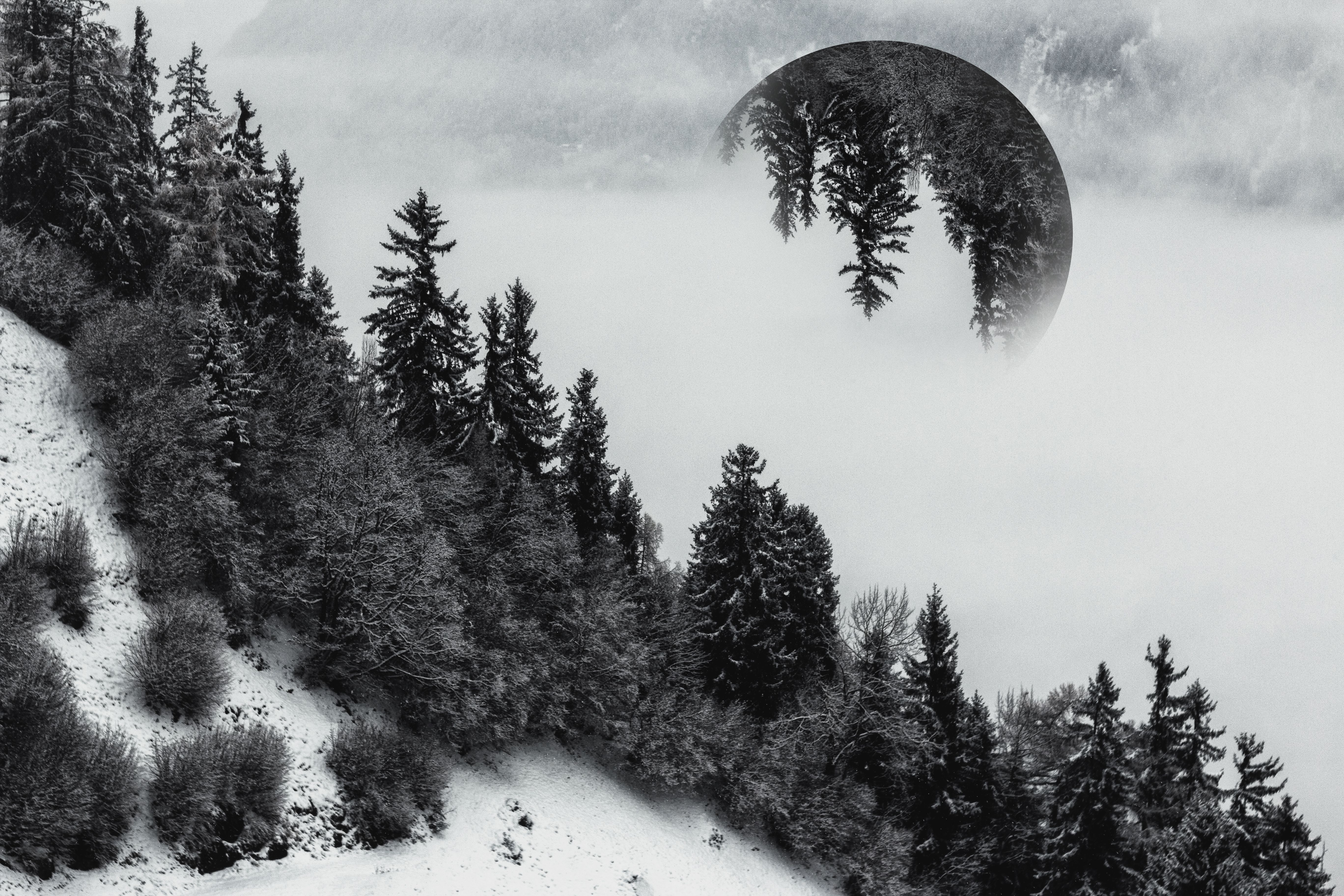 Photo Gratuite De Boule De Neige Montagne Montagne Enneigee