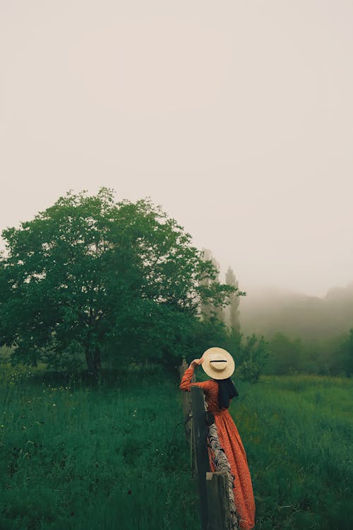 Woman Standing on a Foggy Field · Free Stock Photo