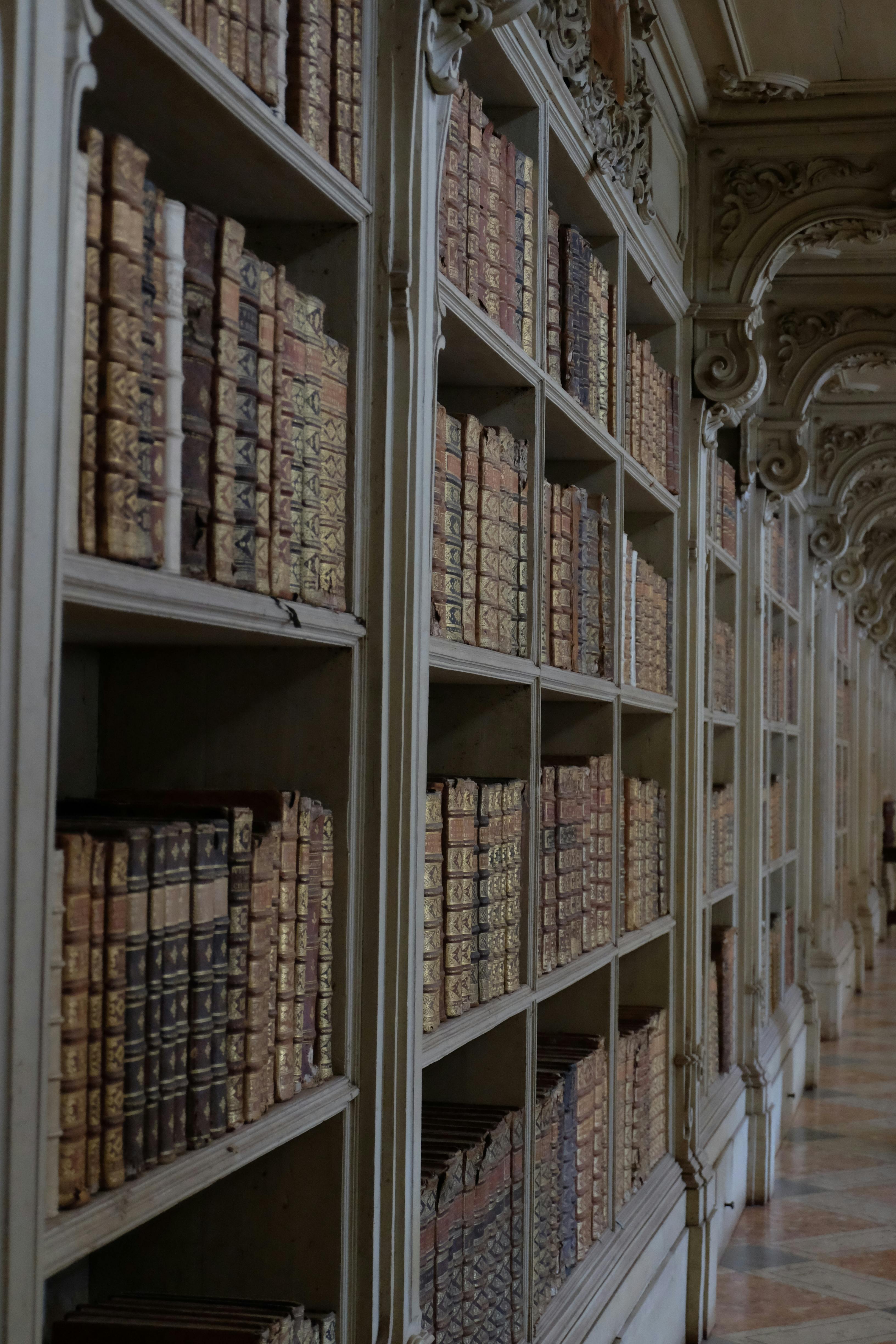 antique books arranged on bookshelves inside mafra national palace
