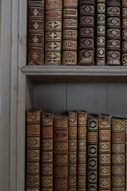 Free Antique Books Arranged on a Bookshelf Stock Photo