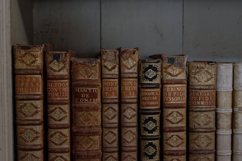 Free Close Up of Books on Shelf Stock Photo