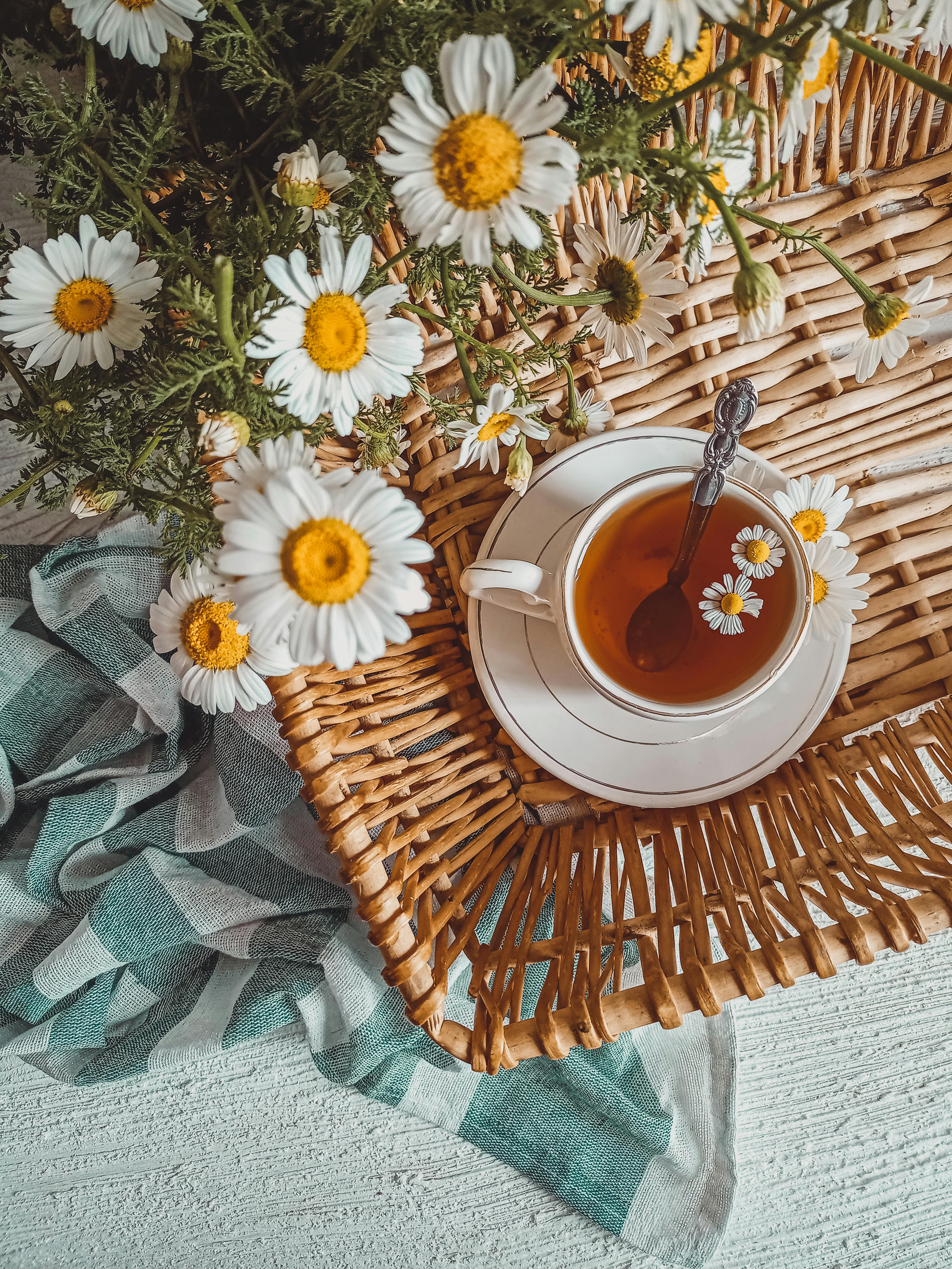 chamomile flowers and a cup of tea