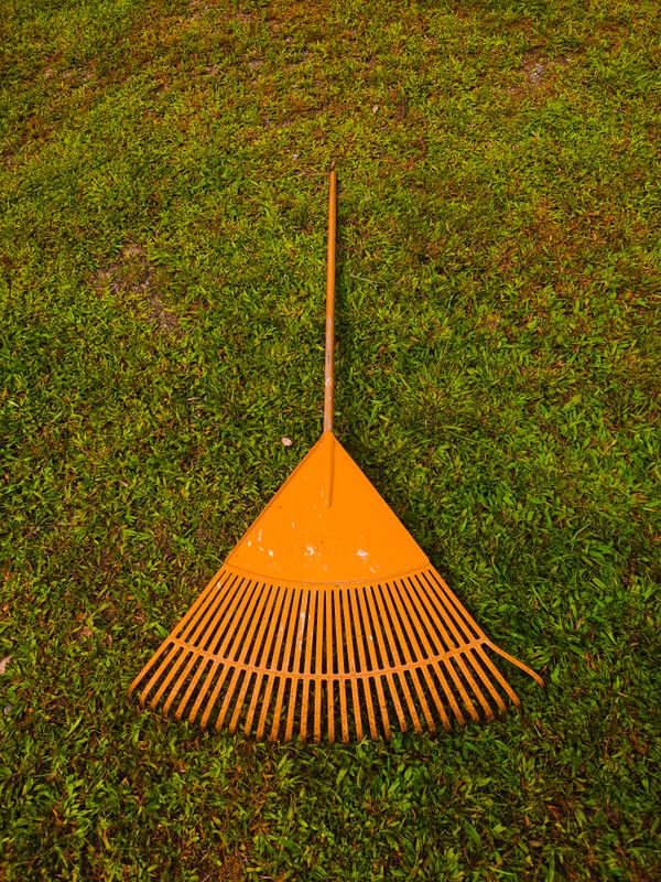 Rake on a lawn covered in fall leaves