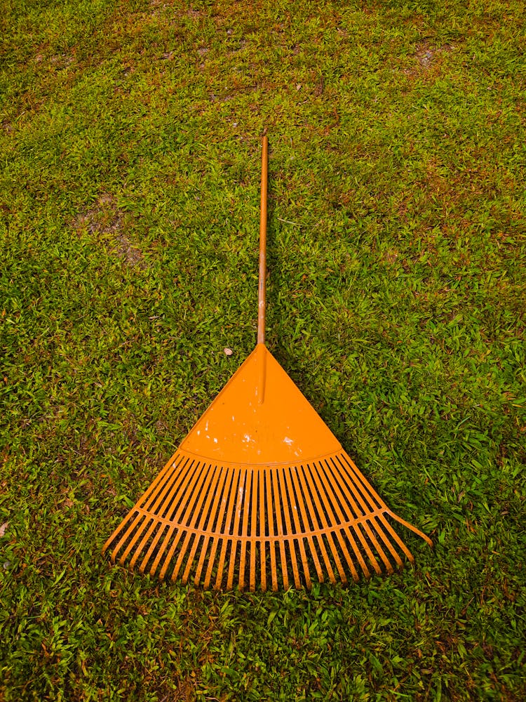 Orange Leaf Rake On Green Grass 