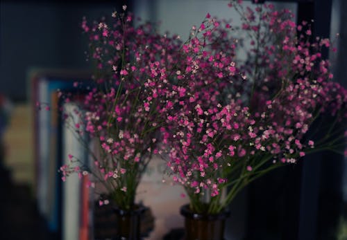 Pink Baby's Breath Flowers in Glass Vases